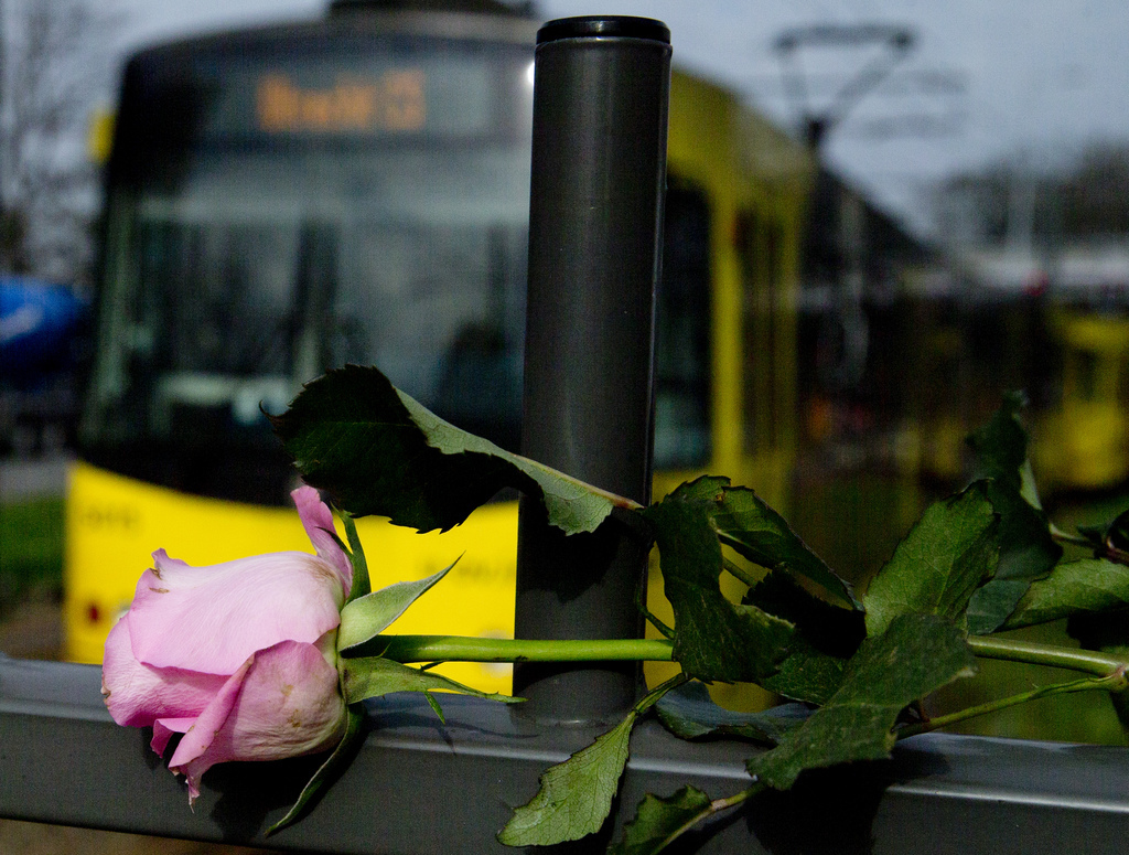 L'attaque a fait trois morts et cinq blessés lundi matin dans un tramway d'Utrecht.
