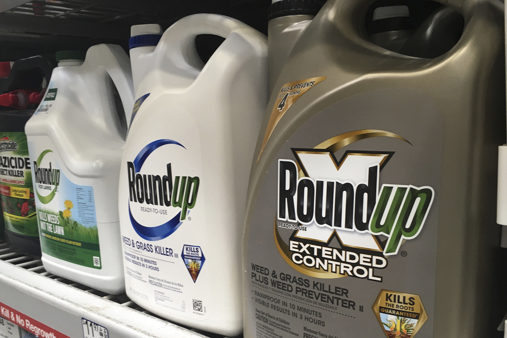 Monsanto n'aurait pas prévenu les usagers du risque cancérigène de son désherbant, qui contient du glyphosate.