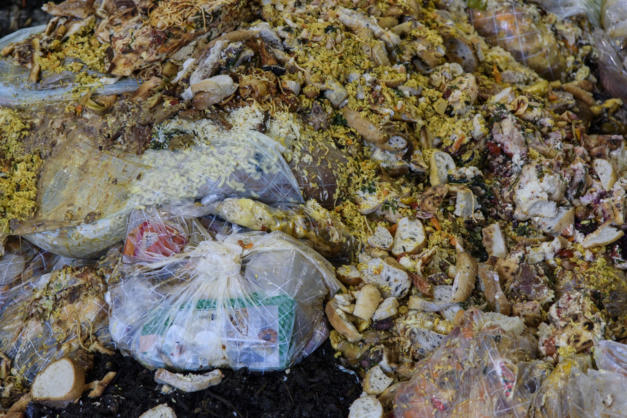 Ecorecyclage utilise une technique innovante pour trier le plastique des déchets organiques qui pourront être valorisés.
