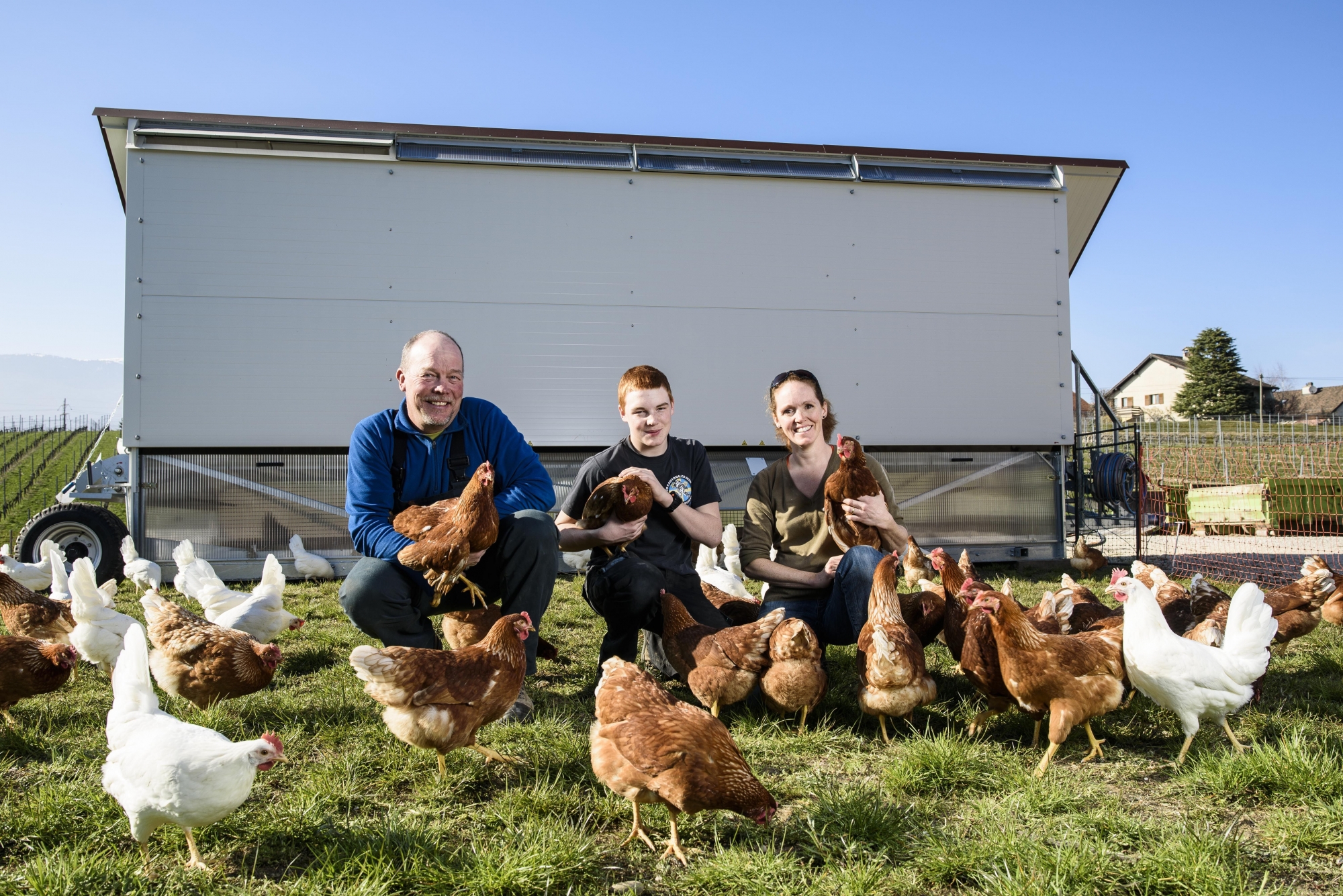 A Eysins, Jacques et Annie Olivier, avec leur fils Emile, s'occupent de la meilleure façon possible de leurs poules.