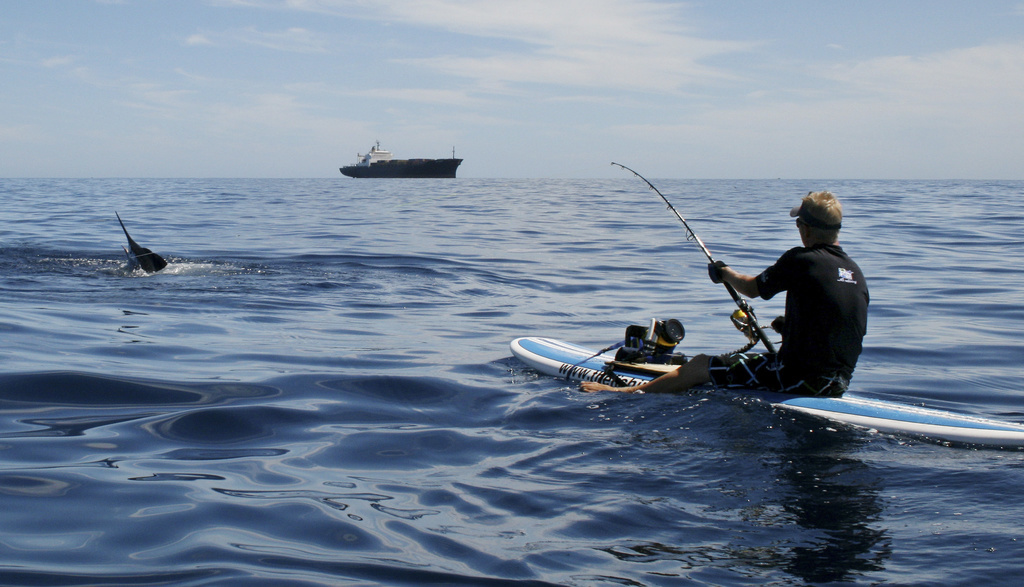 Le marlin pesait entre 80 et 100 kg. Il a atterri dans le pneumatique des deux Australiens. (Illustration)