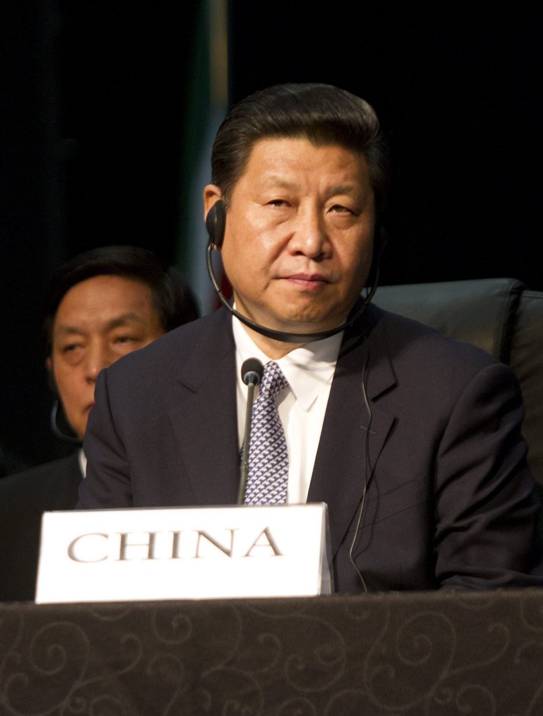 Le président chinois Xi Jinping est reparti pour Pékin samedi après une visite de deux jours au Congo, dernière étape de sa tournée africaine. Il a réaffirmé que son pays allait accroître sa coopération avec l'Afrique.