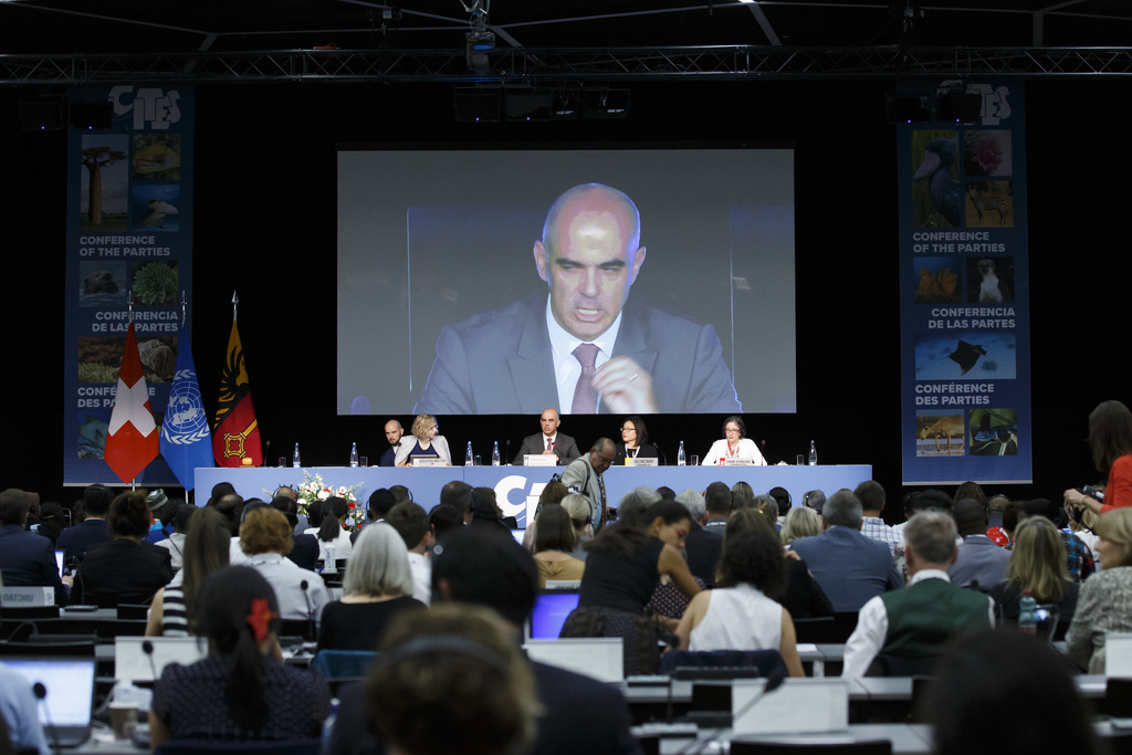 Alain Berset veut renforcer l'arsenal légal. "Les cas graves devraient être considérés comme des crimes".