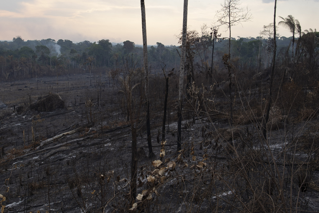 Les incendies ne sont pas seulement un désastre écologique d'envergure mondiale, mais aussi une catastrophe sociale.