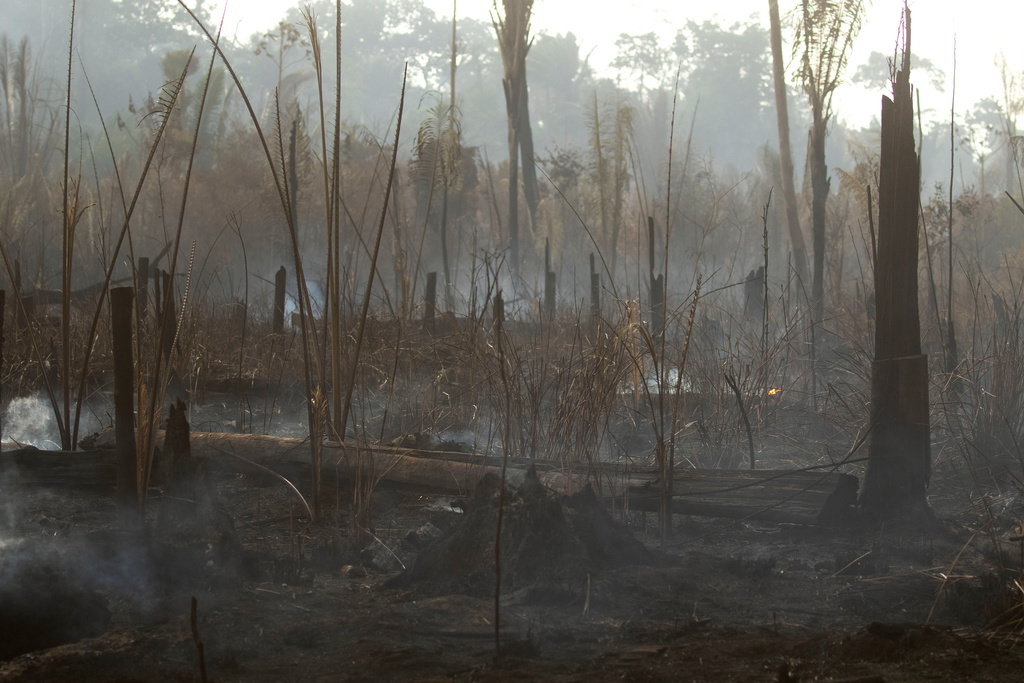 "Personne n'a besoin d'une nouvelle initiative sur l'Amazonie", a abondé le chef de la diplomatie brésilienne, Ernesto Araujo, faisant valoir qu'il existait déjà des mécanismes sous l'égide de la Convention du climat de l'ONU "pour financer le combat contre la déforestation, et pour reforester".
