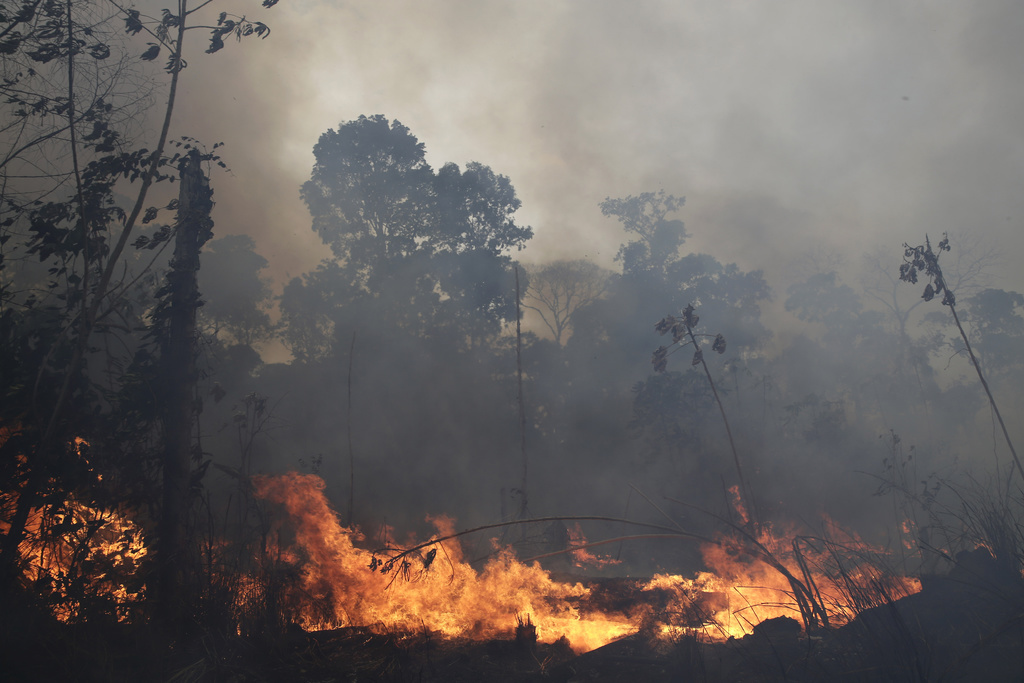 Les feux de forêt ont atteint un nombre record en Amazonie cette année. Après avoir assuré que la situation était sous contrôle, le président brésilien Jair Bolsonaro se dit désormais prêt à accepter l'aide internationale.