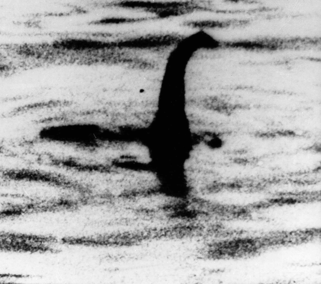 L'étude démontre que le monstre du Loch Ness n'est pas un grand reptile aquatique, ni même un requin ou un esturgeon géant. (Illustration)