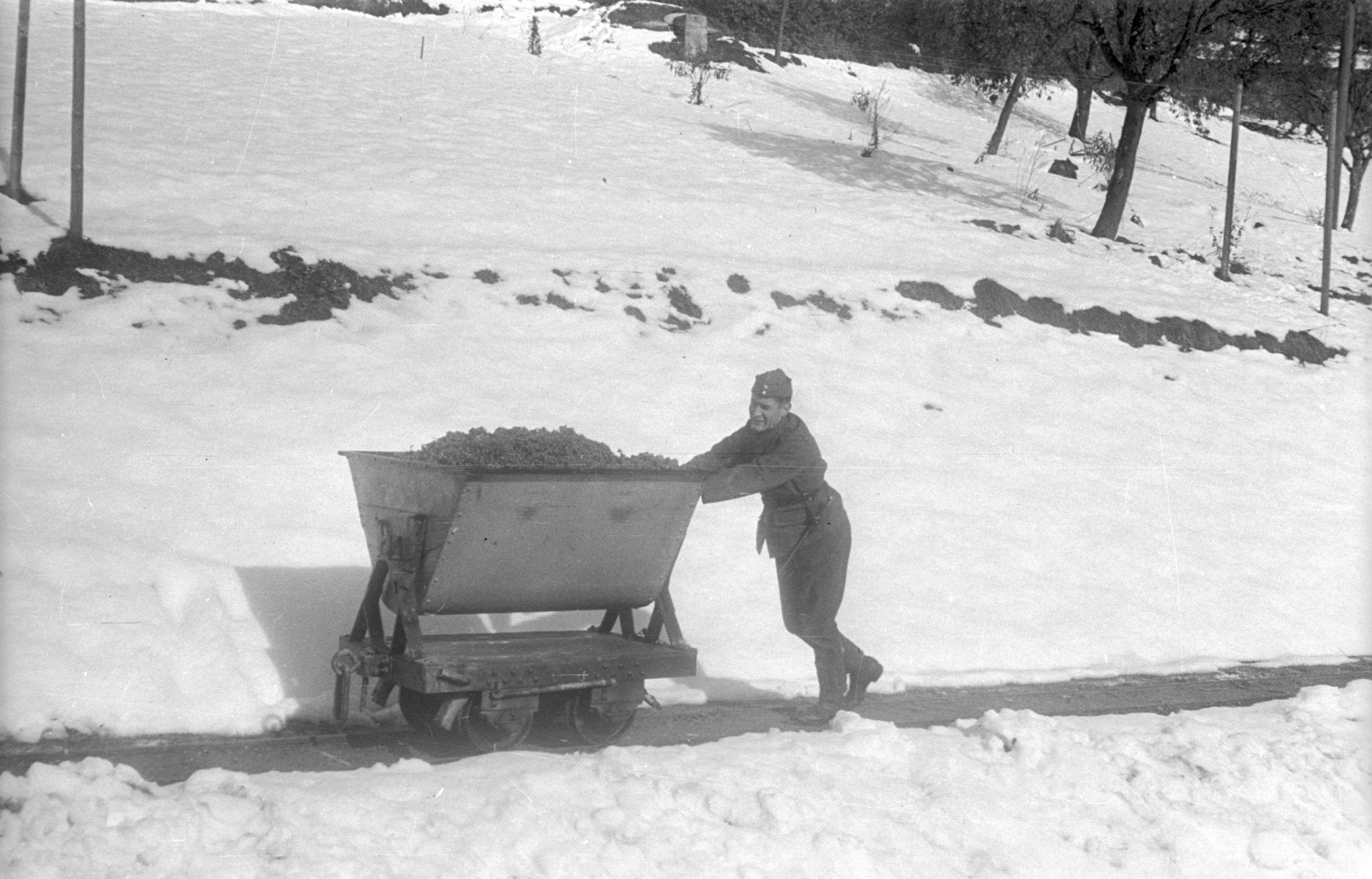 A Begnins, lors des vendanges en octobre 1939, un militaire pousse un chariot rempli de raisin au milieu de la neige.