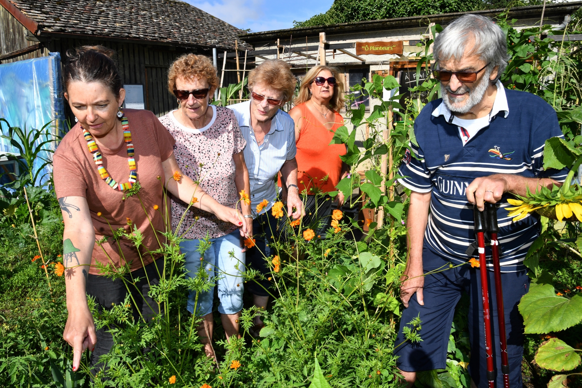 Le potager de La Vie-Là.