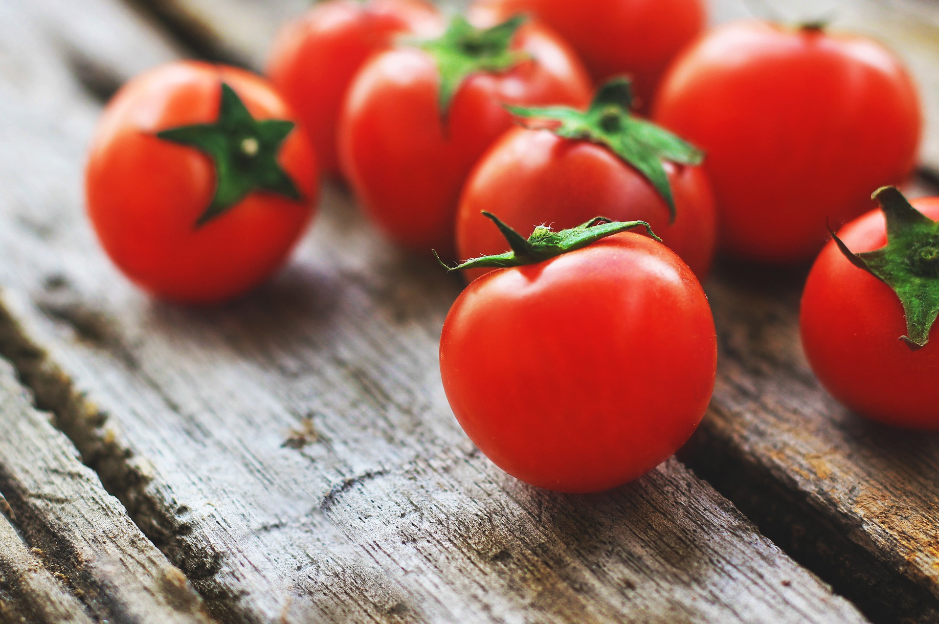 31% des Suisses pensent que manger une tomate cerise est sans danger pour les petits enfants. (Illustration)