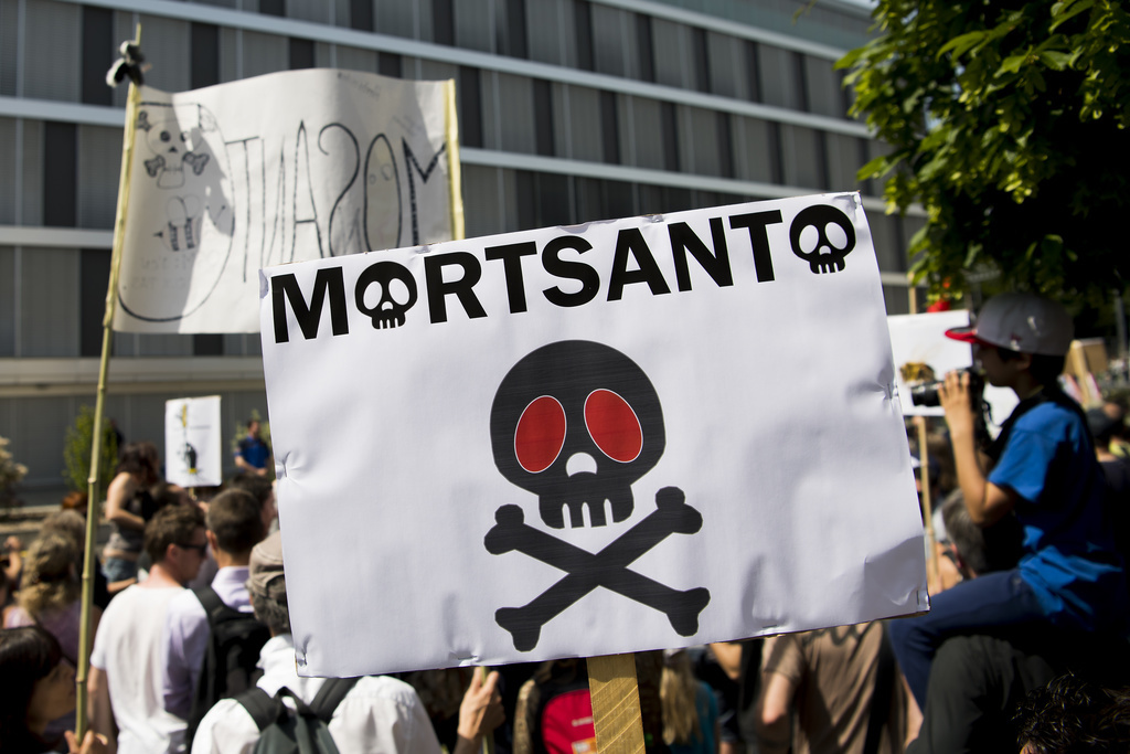 Monsanto est soumise à une pression de plus en plus écrasante à l'échelle mondiale. Des manifestations dénoncent partout les dérives du groupe d'industrie chimique. (illustration)