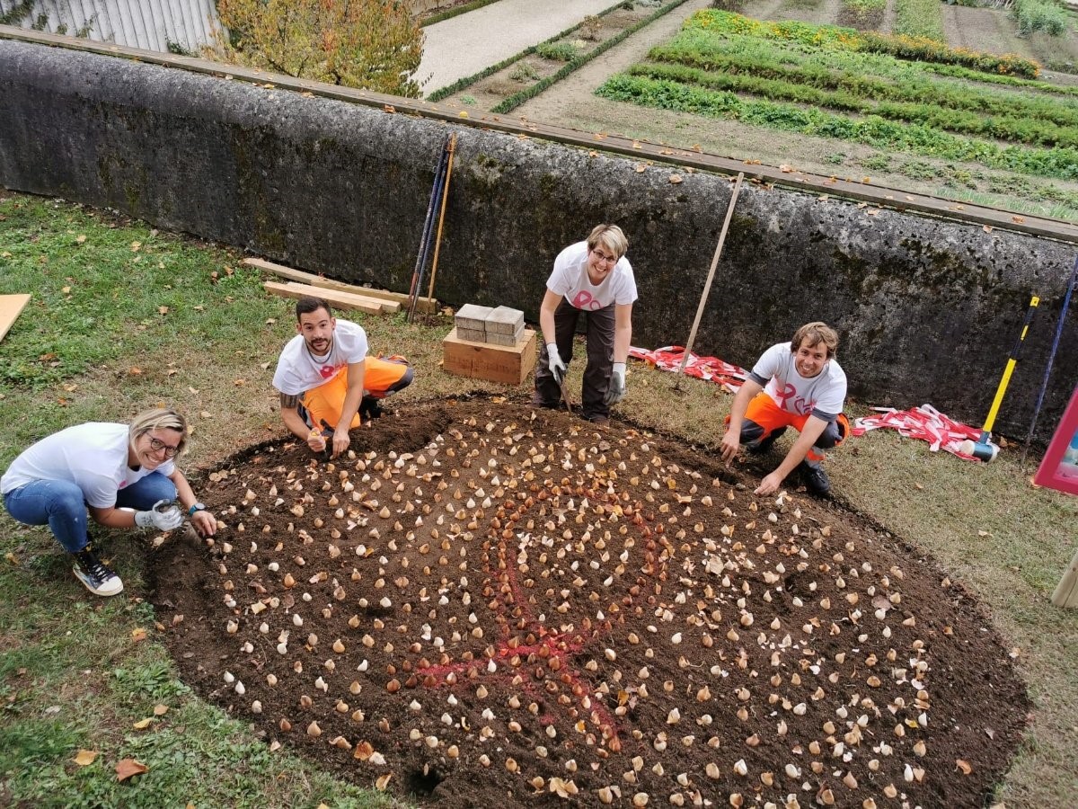 A Prangins, plusieurs centaines de bulbes ont été plantés.