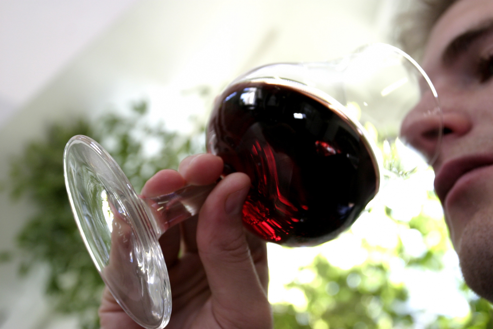 Le premier Festival du vin mêlera le produit de la vigne à des concerts.