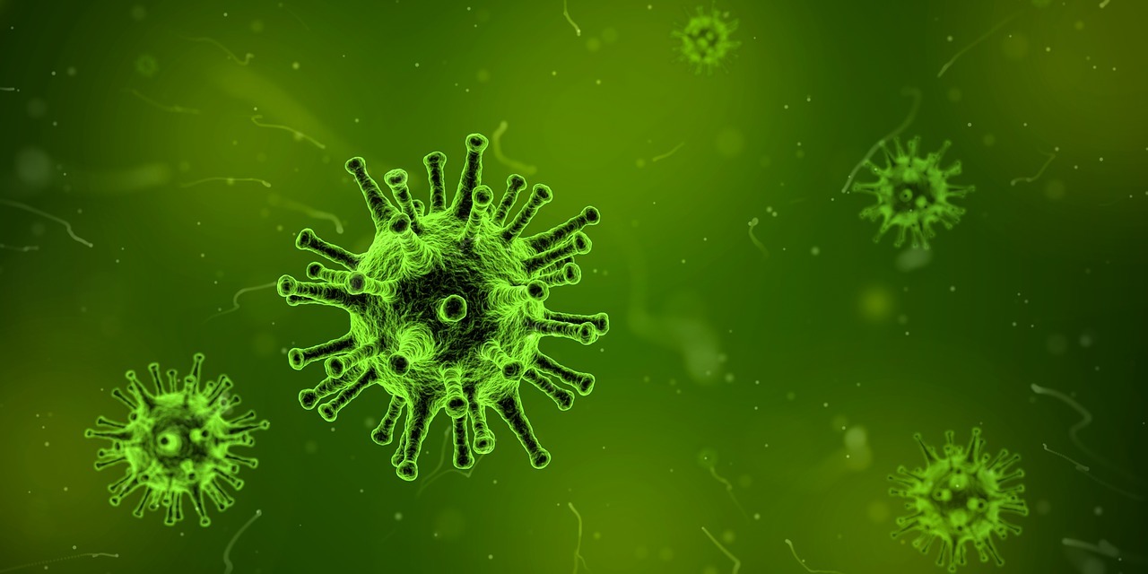 Les bactéries sont la proie de virus appelés bactériophages ou phages, qui les détruisent et s'en servent pour se multiplier.