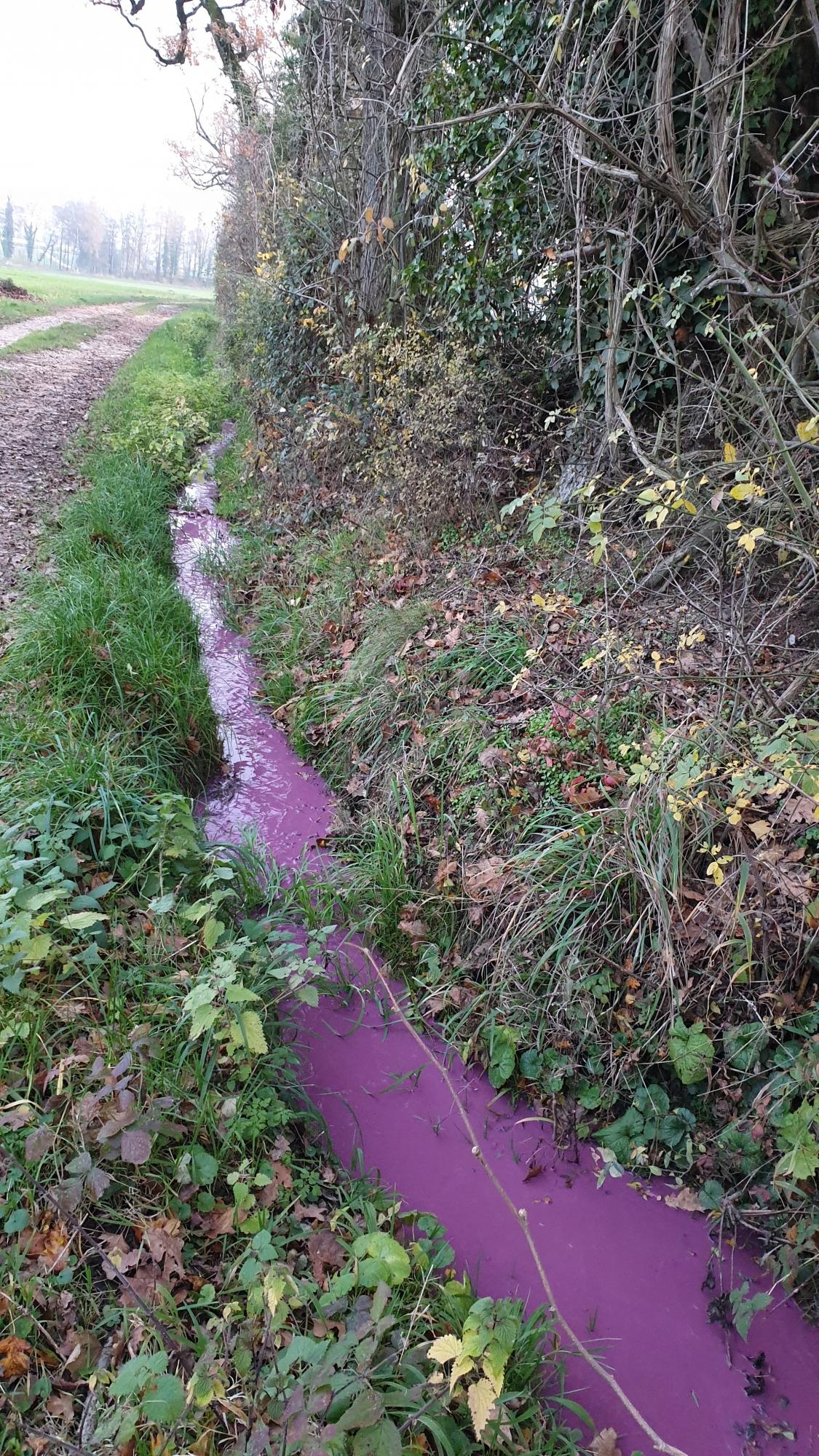 Le fossé de drainage, sous le Domaine d'Avenex, s'est empli d'un flux oscillant entre rose et mauve, jeudi en fin d'après-midi.