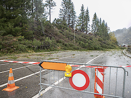 Des routes ont dû être temporairement fermées à cause de chutes d'arbres (archives).