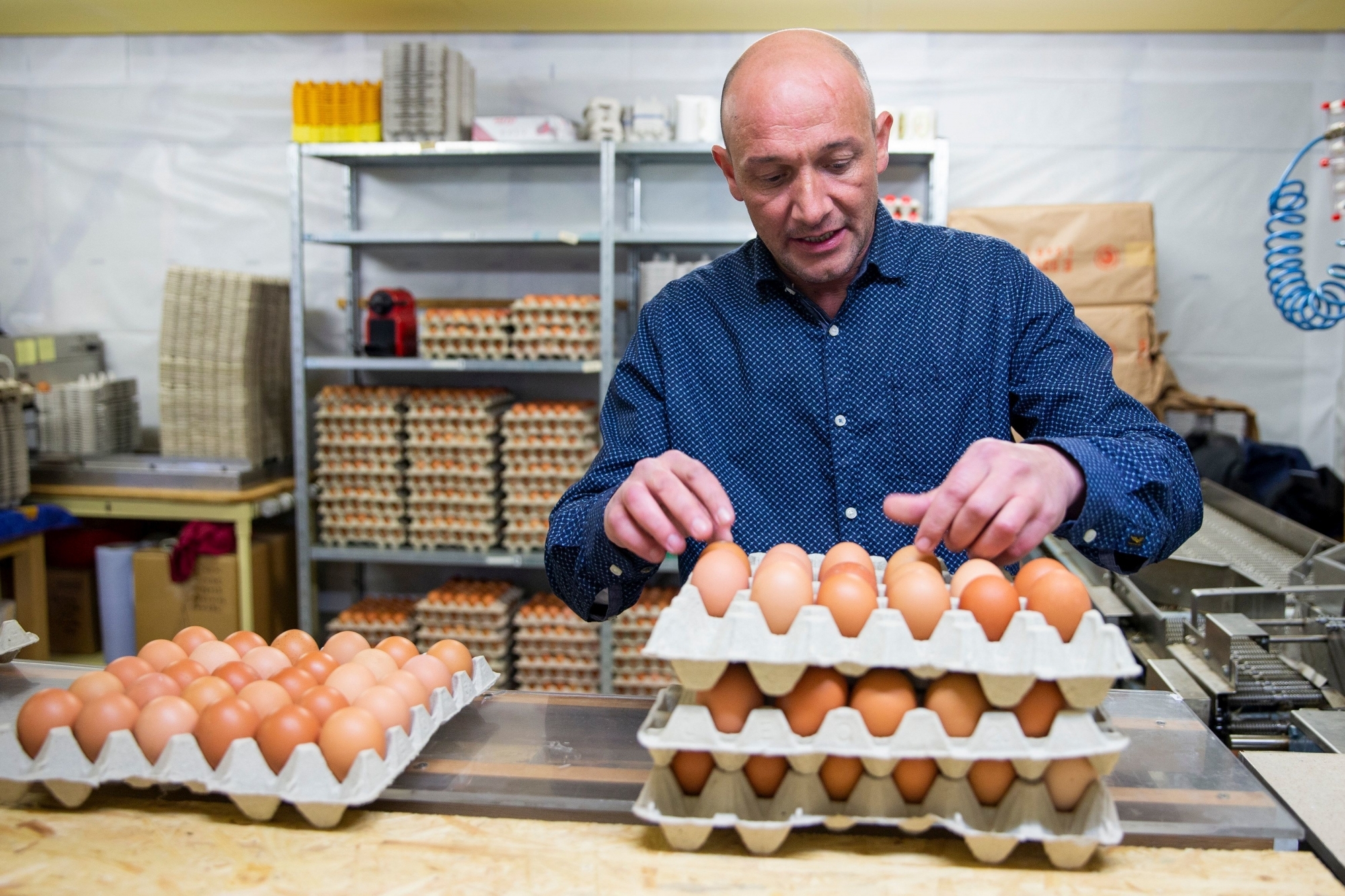 Christian Rebetez prépare ses livraisons. les œufs sont cueillis à la main, triés mécaniquement, puis rangés à la main dans les boîtes.