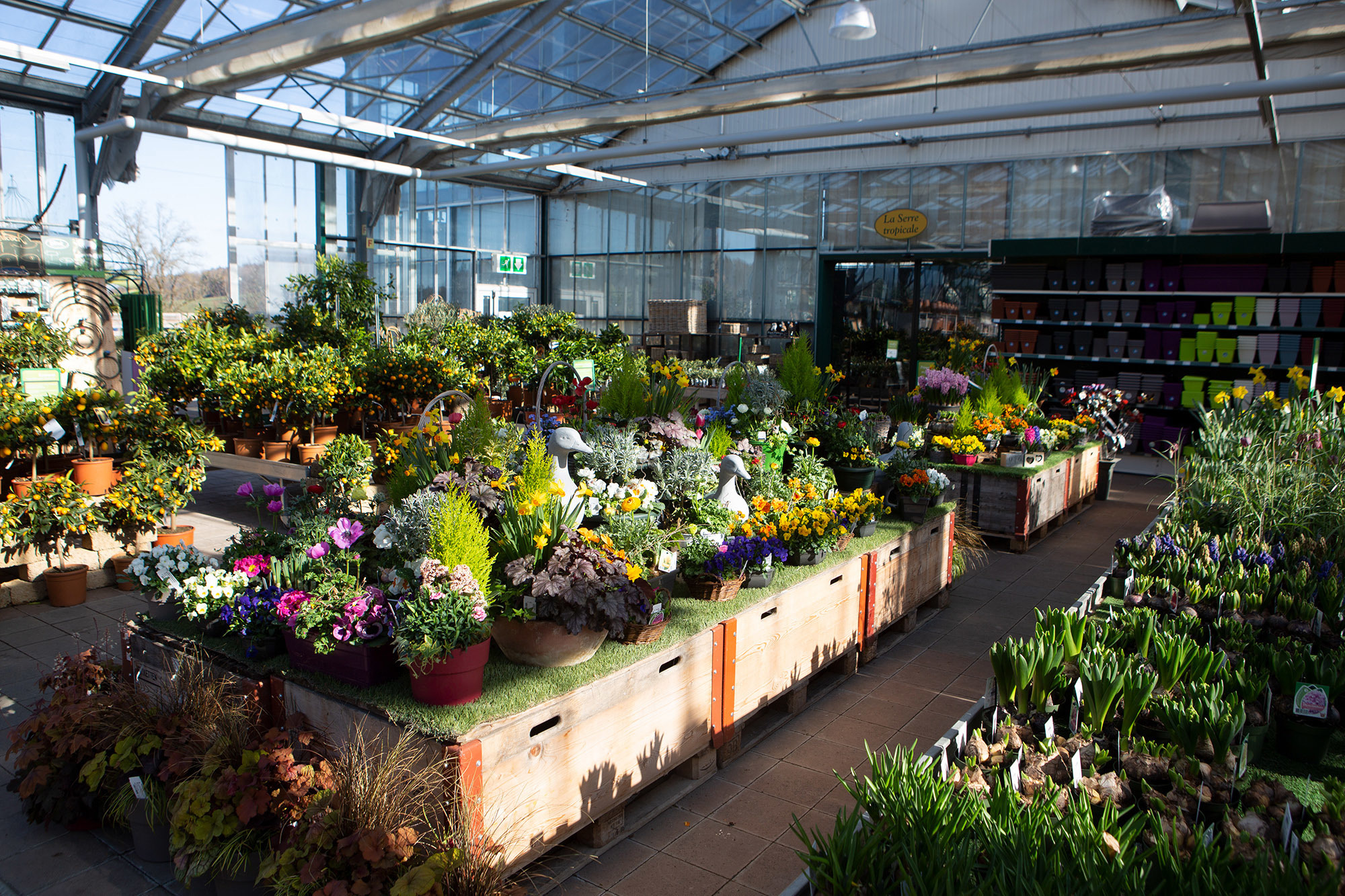 L'entreprise horticole a offert pour 10 000 francs de fleurs.