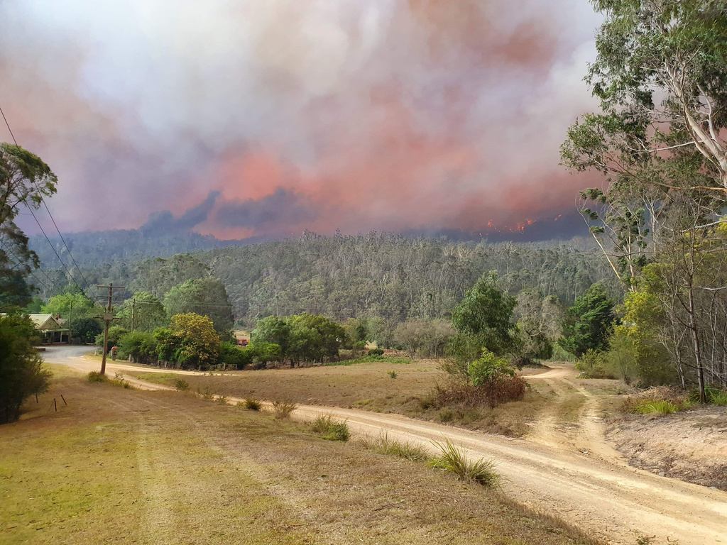 Le printemps austral 2019 aura connu la saison d'incendie la plus dévastatrice jamais enregistrée.