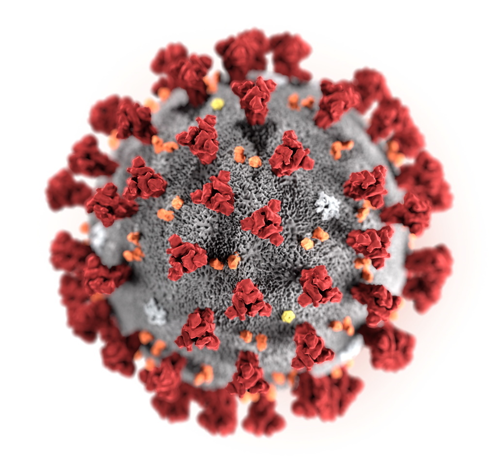 Le nouveau coronavirus peut survivre pendant plusieurs heures en dehors du corps humain.