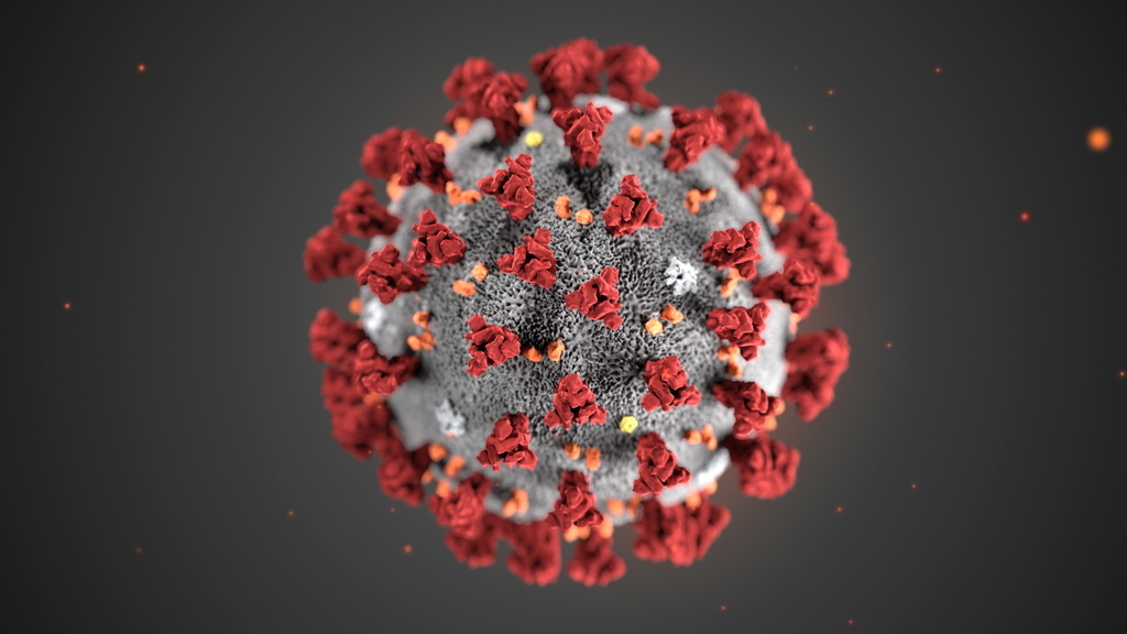 Le test clinique européen sur le coronavirus devra permettre de définir à quel point quatre molécules sélectionnées au préalable pourraient représenter un traitement efficace ou non.