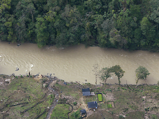 Outre l'abattage inconsidéré des arbres pour l'agriculture, l'exploitation minière illégale et les plantations de coca, matière première de la cocaïne, menacent les richesses naturelles de l'Amazonie en Colombie (archives).