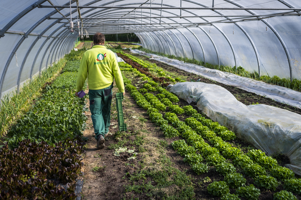 De plus en plus d'agriculteurs se mettent au bio.