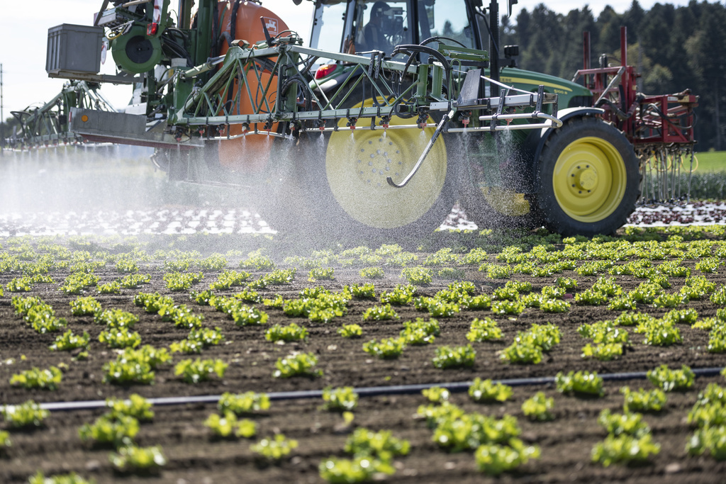 Plusieurs résidus de pesticides ont été découverts chez tous les participants. (illustration)