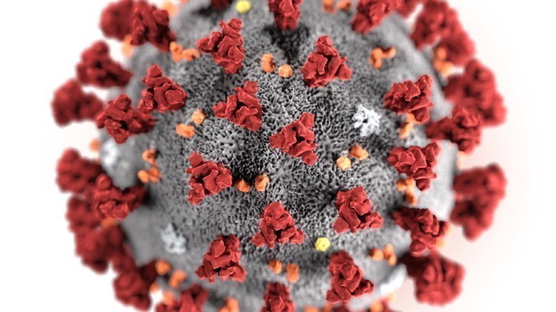 S'attaquer à la tête des "clous" tapissant le coronavirus n'est pas forcément la panacée, selon cette étude genevoise. (illustration)