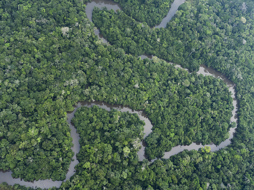 Avec le réchauffement climatique, les forêts tropicales pourraient devenir émettrices de carbone au lieu de le stocker, selon une étude.