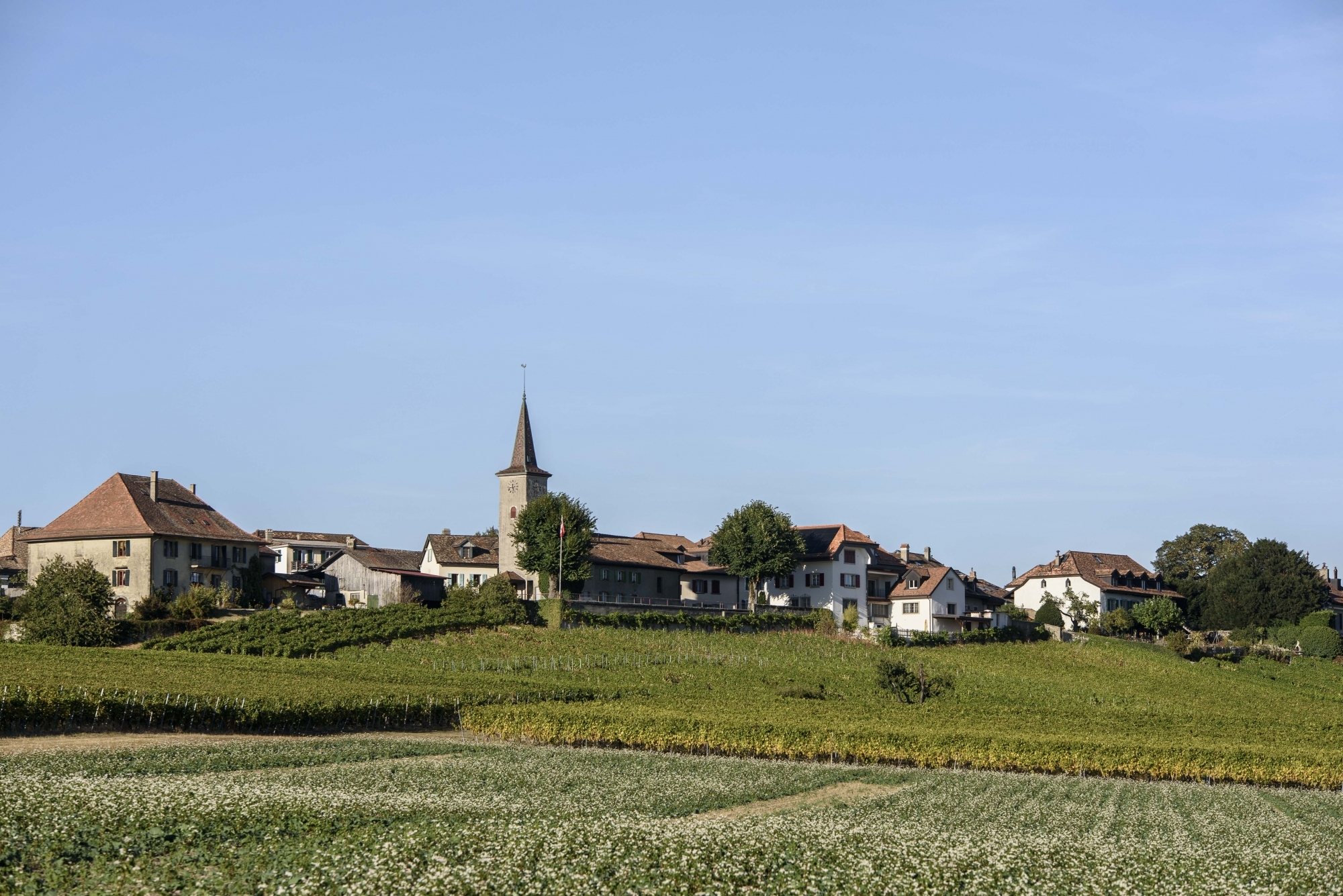 Les autorités de Lavigny souhaitent que ses habitants puissent rester dans la commune et trouver un logement à des prix abordables.