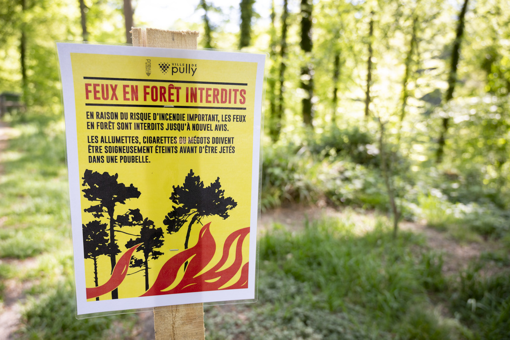 Les feux d’artifice de la fête nationale sont autorisés avec une distance minimale de 200 mètres avec la forêt.