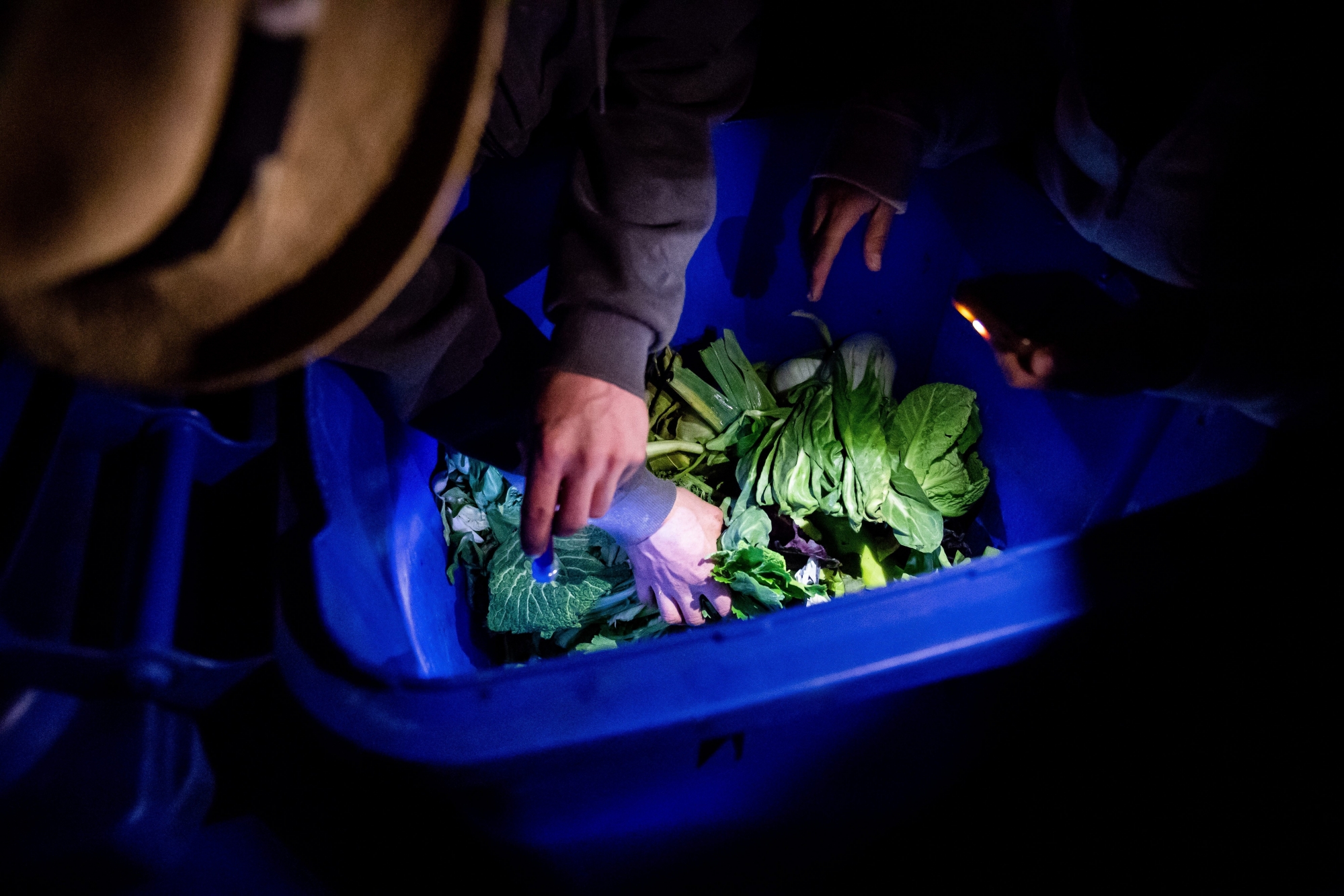 En fouillant dans les poubelles des supermarchés, les adeptes du déchétarisme tombent parfois sur des «mines d’or».