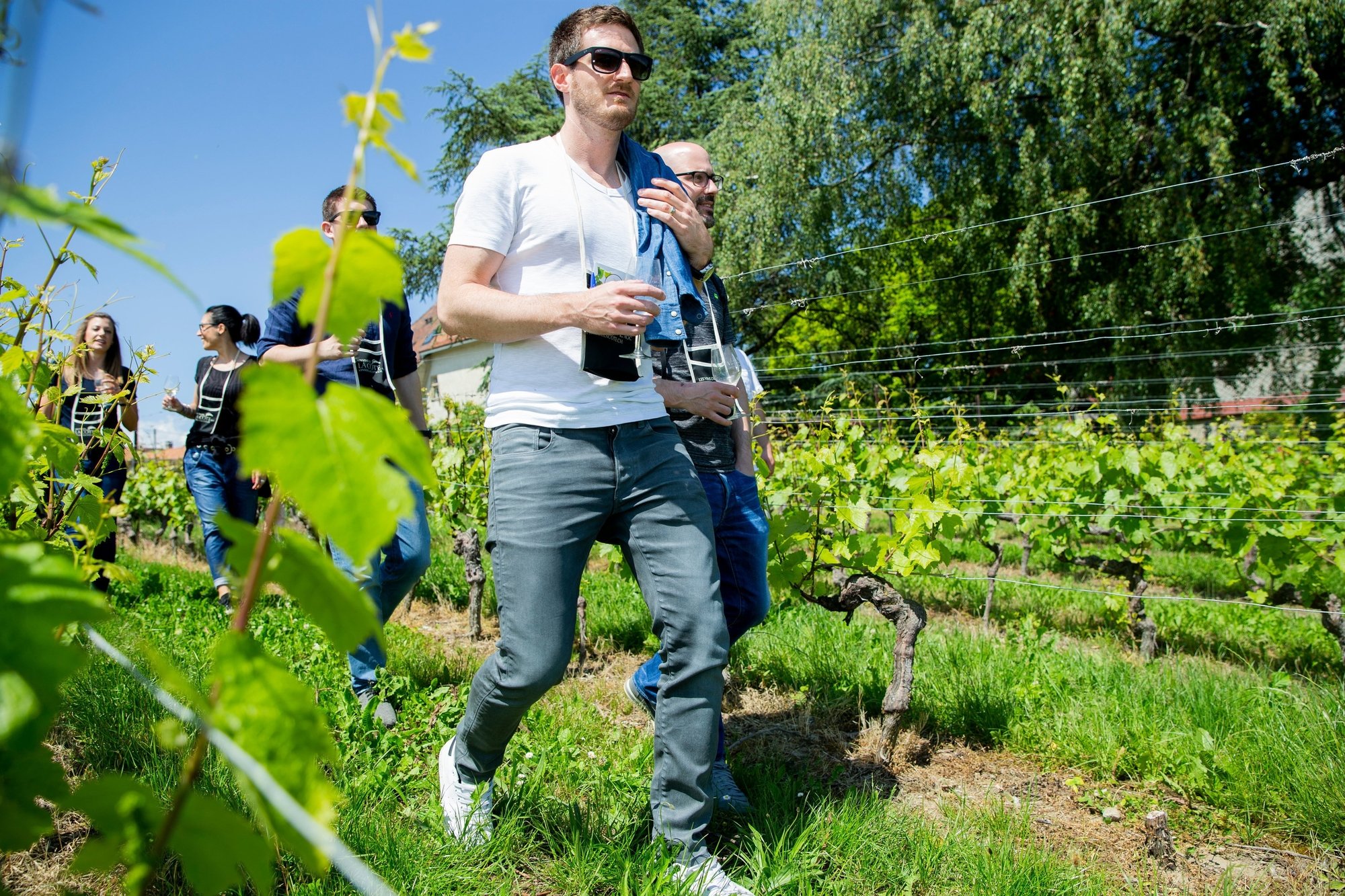 Les caves ouvertes vaudoises invitent à voyager dans tout le canton à la découverte de nouveaux crus. C'est difficilement compatible avec la traçabilité des participants exigée auprès des organisateurs.