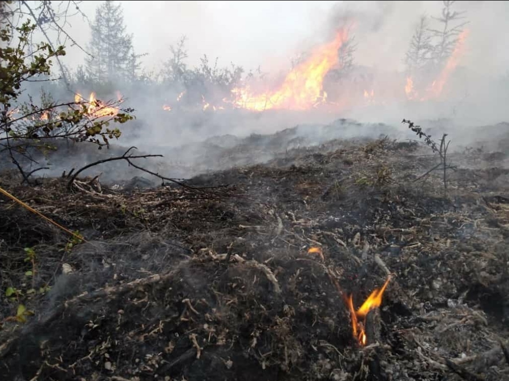 Les incendies dans les forêts de Sibérie se poursuivent, mais ils ont un peu diminué.