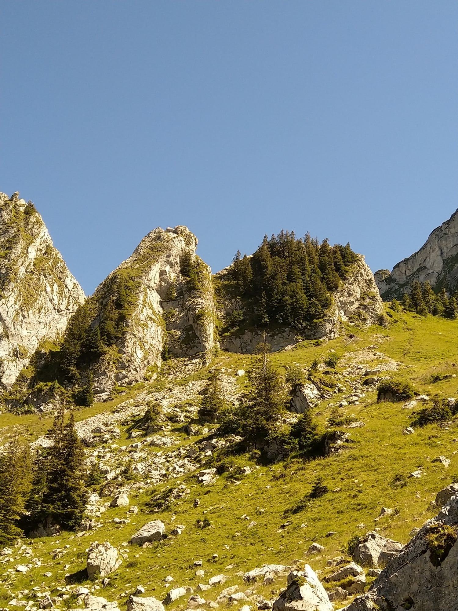 L'accident a eu lieu sur l'arête des Gais Alpins, près de la dent d'Hautaudon.