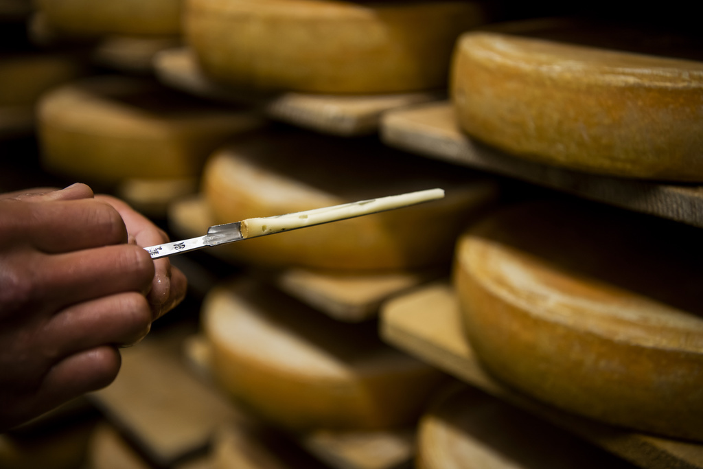 Le Ministère public de Schwyz a ouvert une procédure pénale contre un fromager de Schwyz. (illustration)