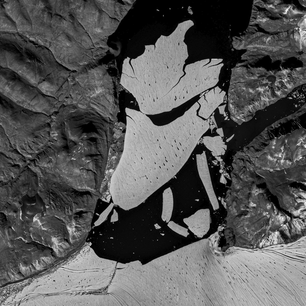 Sur les images satellite diffusées par le GEUS, on peut constater que de vastes surfaces de glace se sont désormais séparées de ce gigantesque glacier du nord-est du territoire arctique.
