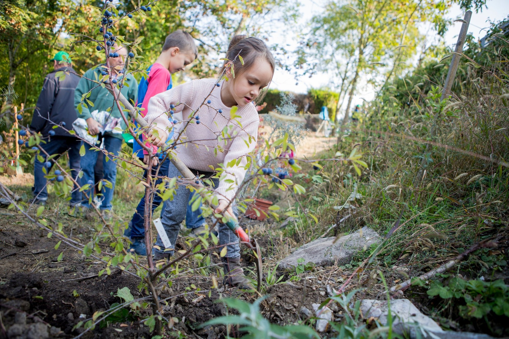 Lonay, samedi 8 octobre 2016
40 ans de la réserve naturelle communale de Bomelet à Lonay. Plantation de plants, Lucie

Sigfredo Haro