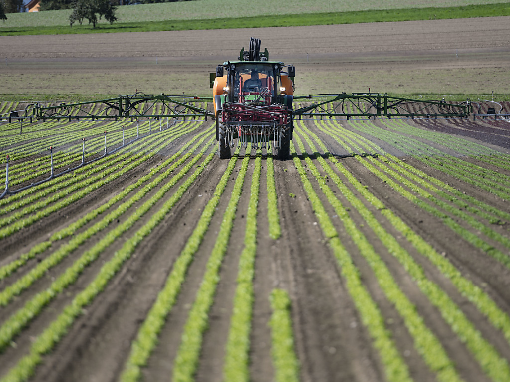 Le Conseil fédéral a rappelé qu'il avait déjà pris des mesures contre les pesticides (image d'illustration).